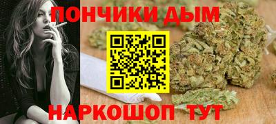 крисы Можга
