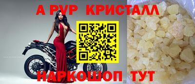 крисы Можга
