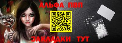 крисы Можга